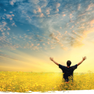 "One health": Die Corona-Krise als ökologisches Problem?