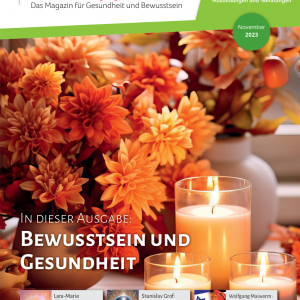 Lebens|t|räume Magazin Ausgabe November 2023