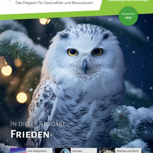 Lebens|t|räume Magazin Ausgabe Dezember 2023